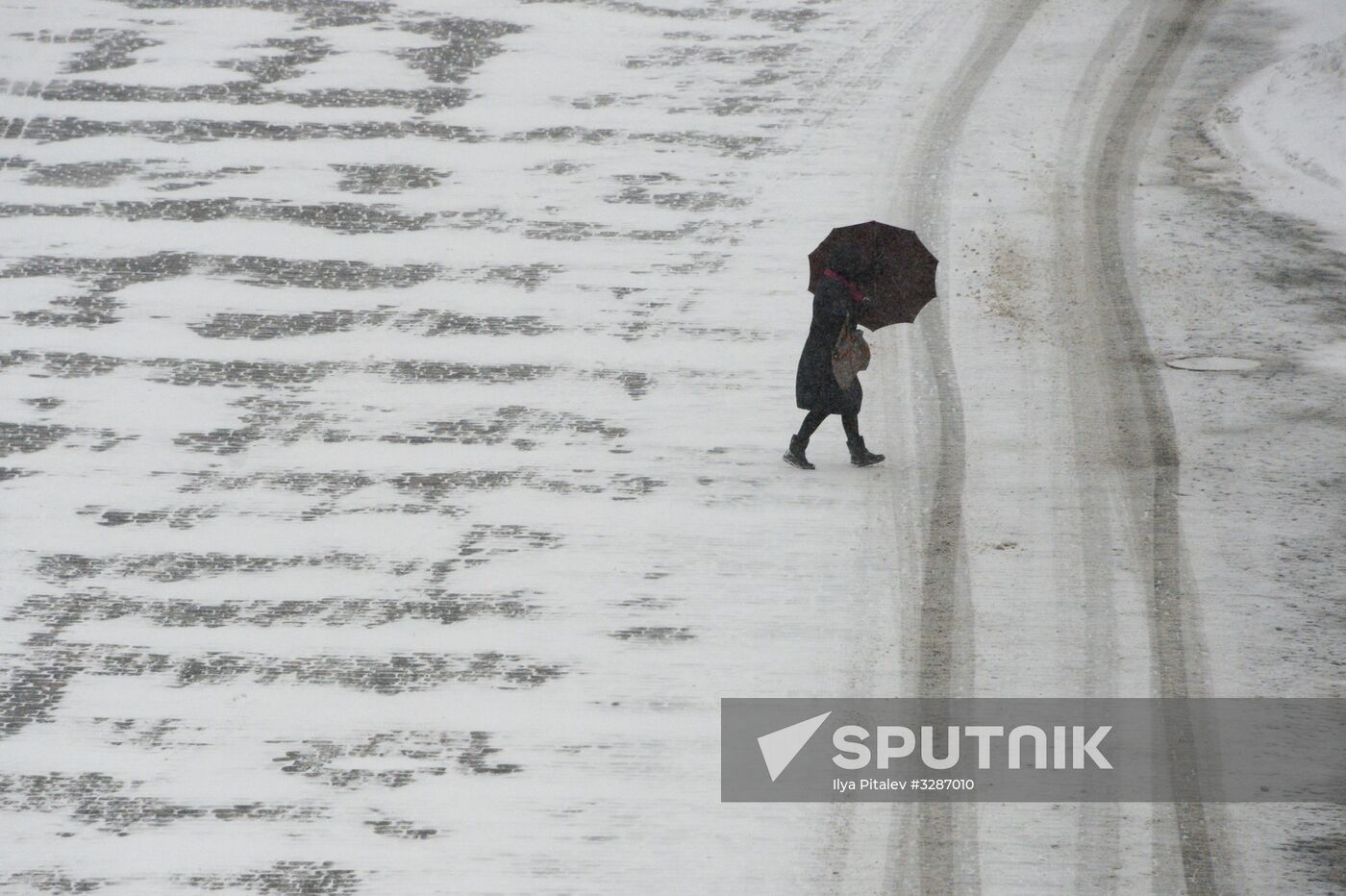 Snowfall in Moscow