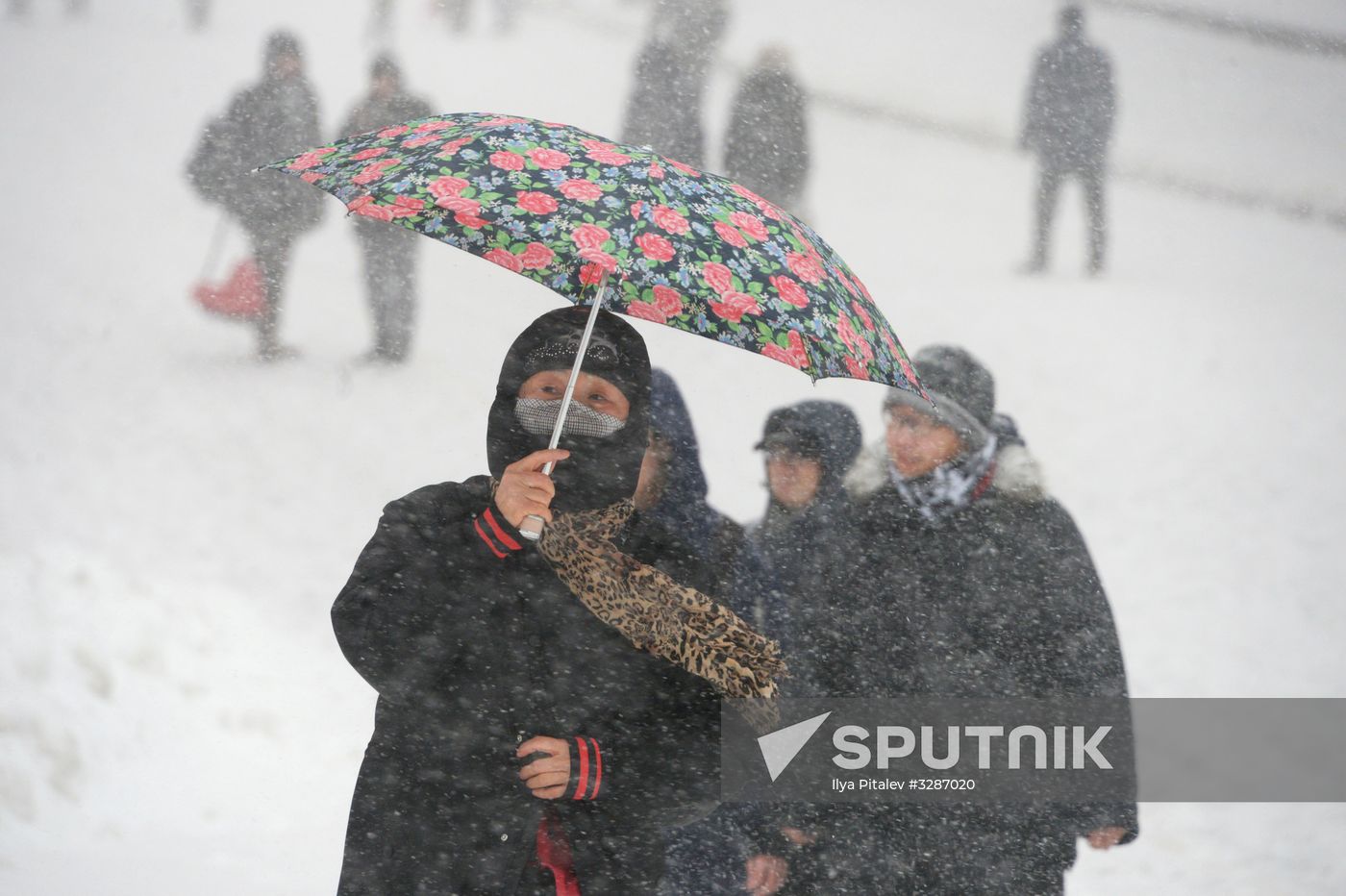 Snowfall in Moscow