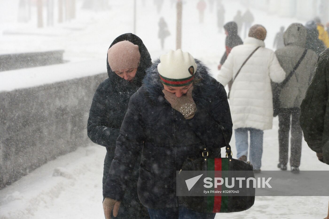 Snowfall in Moscow