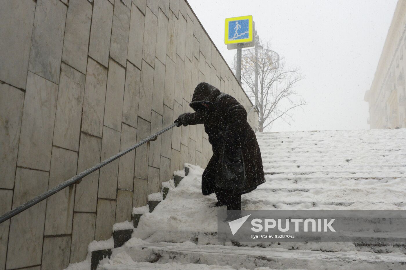 Snowfall in Moscow
