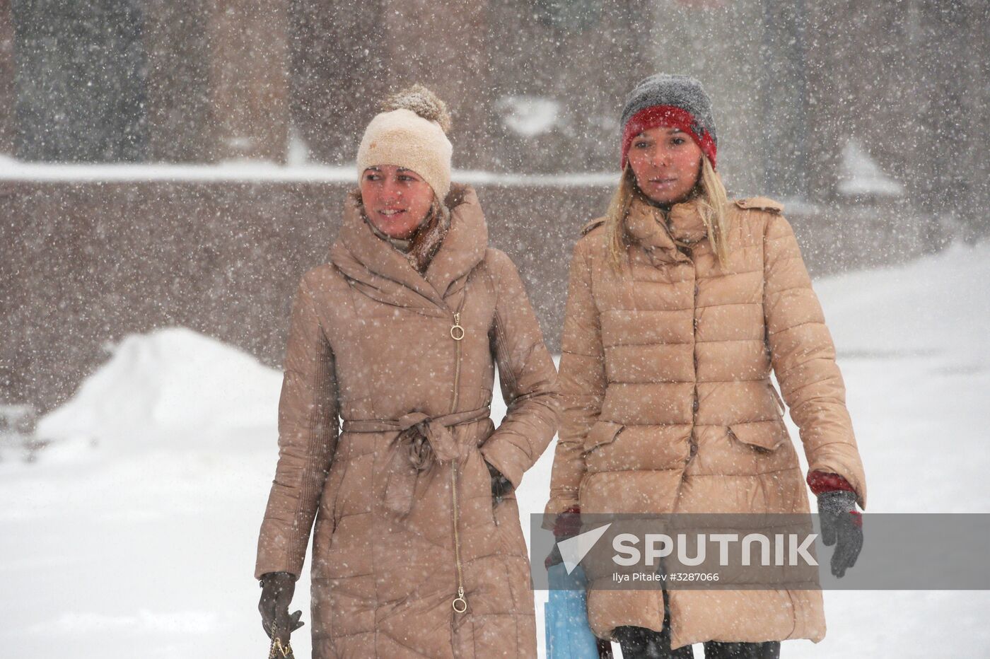 Snowfall in Moscow