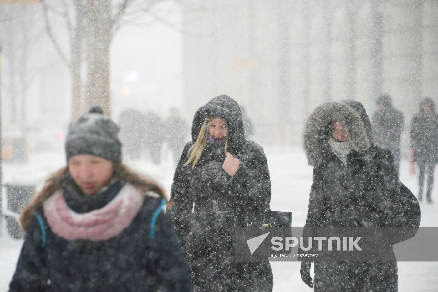 Snowfall in Moscow