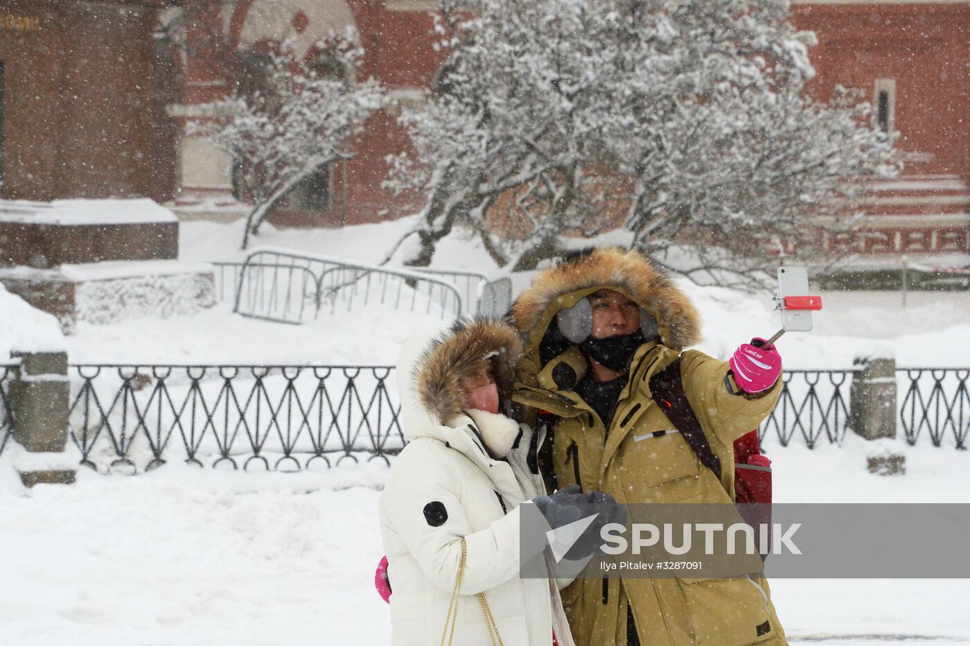 Snowfall in Moscow