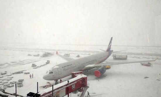 Flight delays in Sheremetyevo Airport