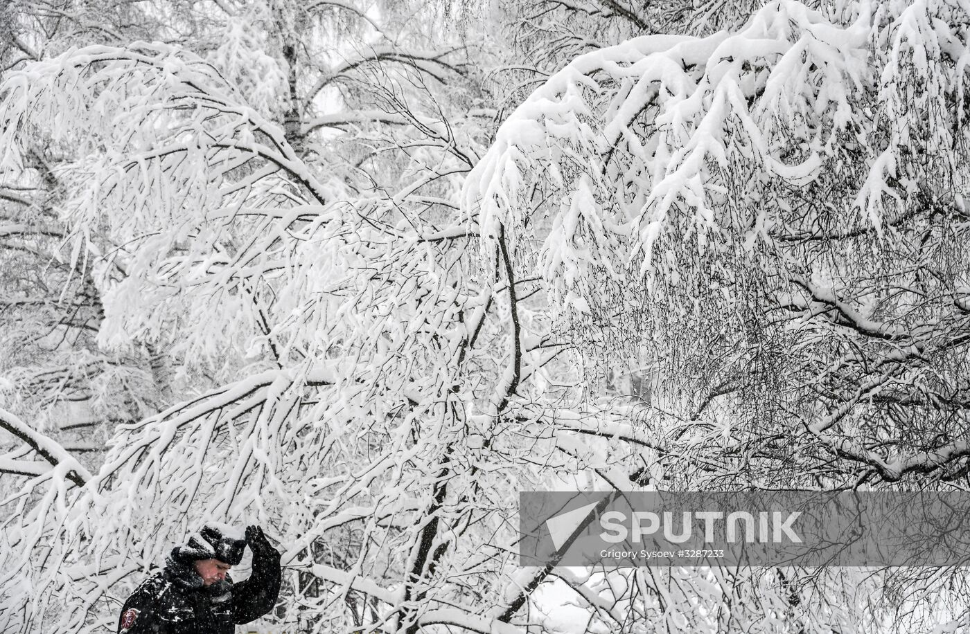 Snowfall in Moscow