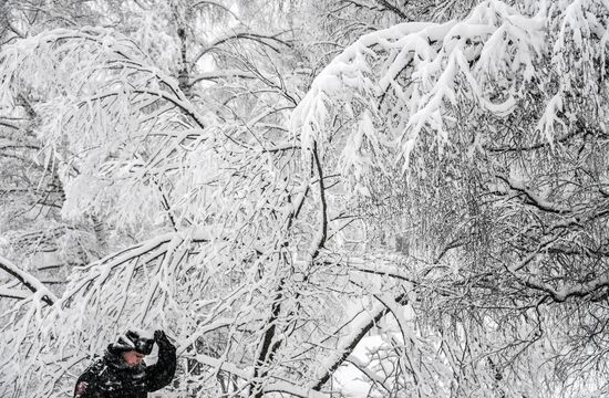 Snowfall in Moscow