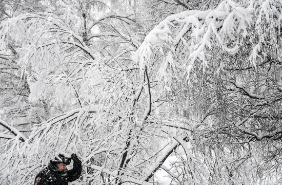 Snowfall in Moscow