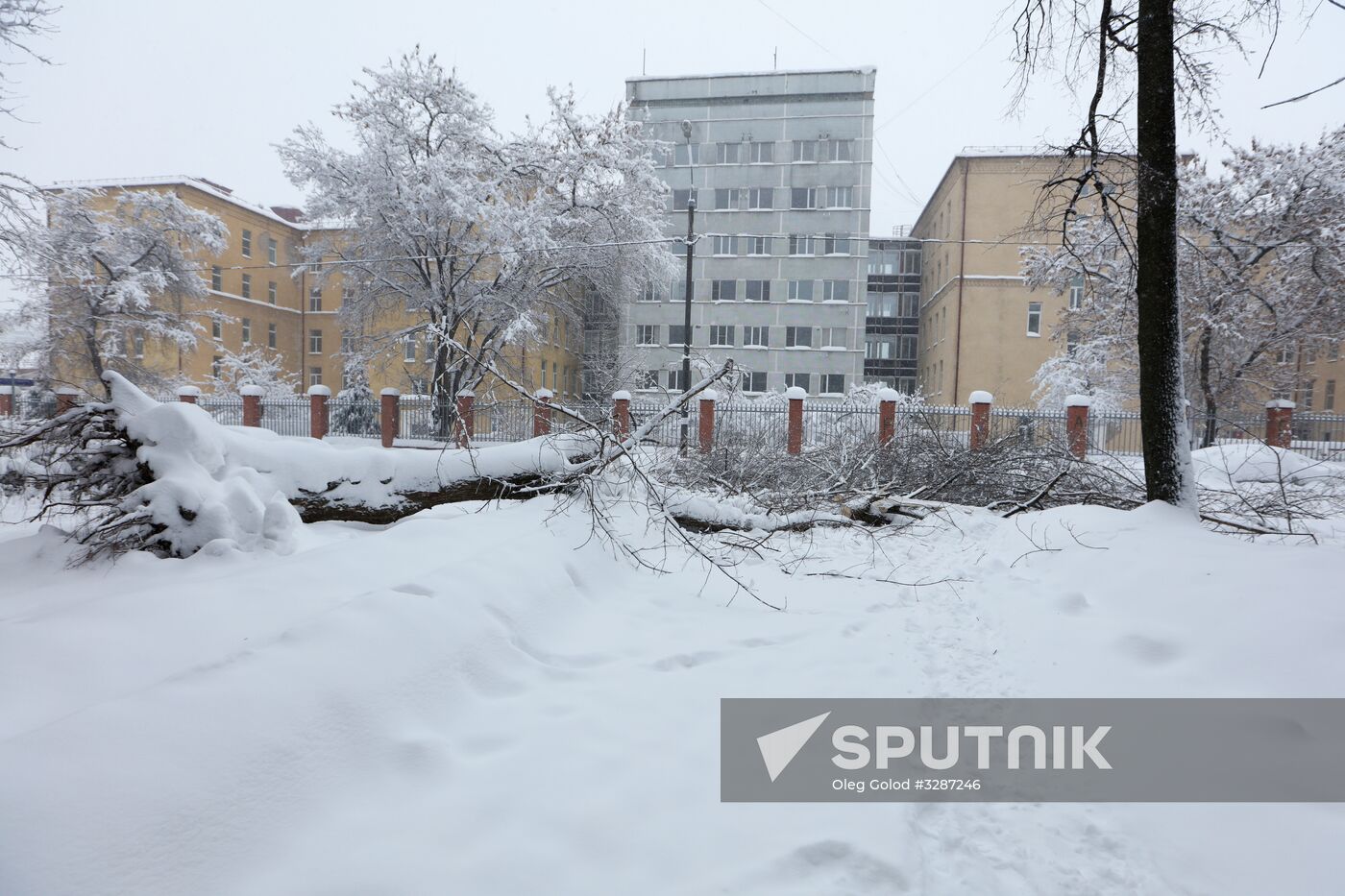 Snowfall in Moscow