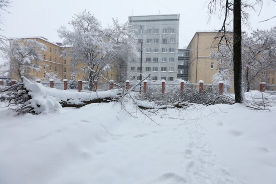 Snowfall in Moscow