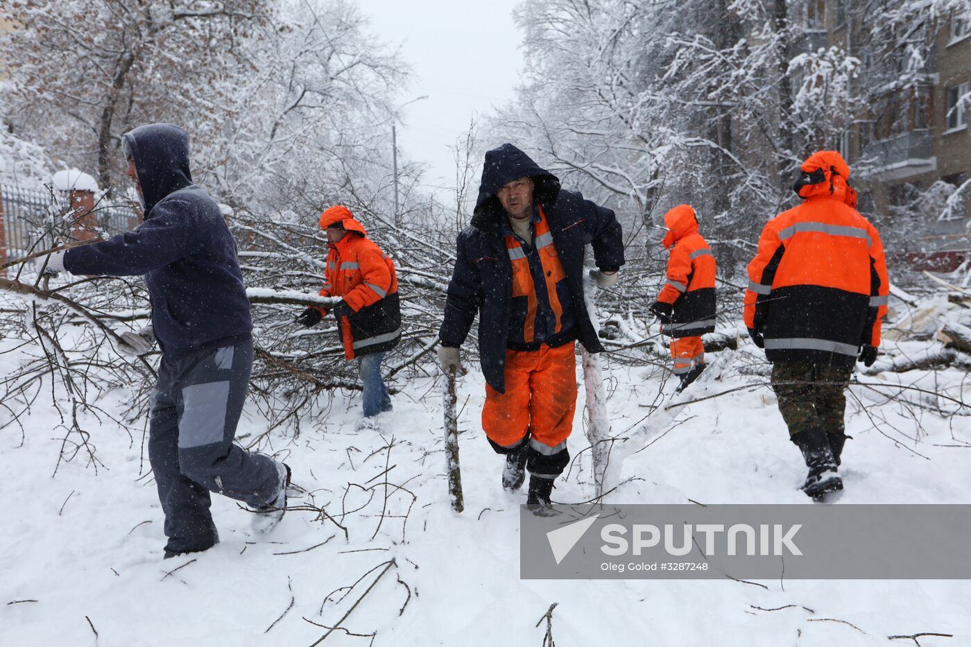 Snowfall in Moscow