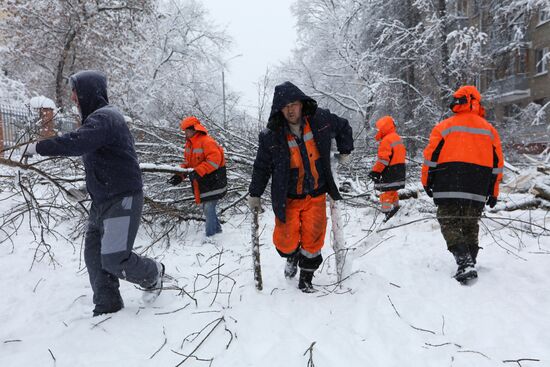 Snowfall in Moscow