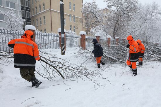 Snowfall in Moscow