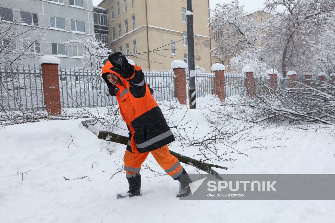 Snowfall in Moscow