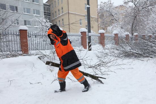 Snowfall in Moscow