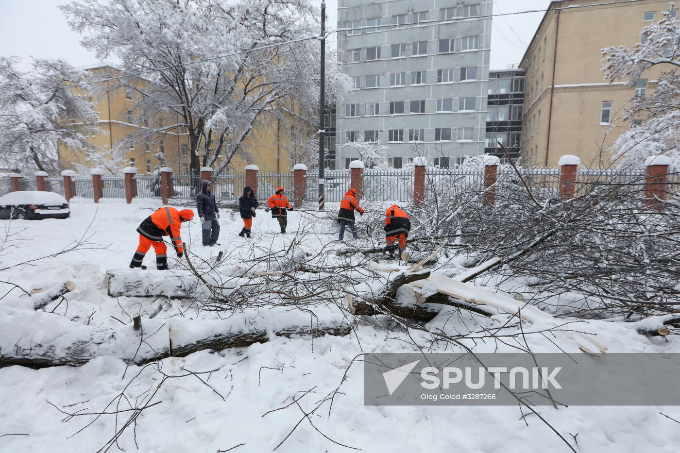 Snowfall in Moscow