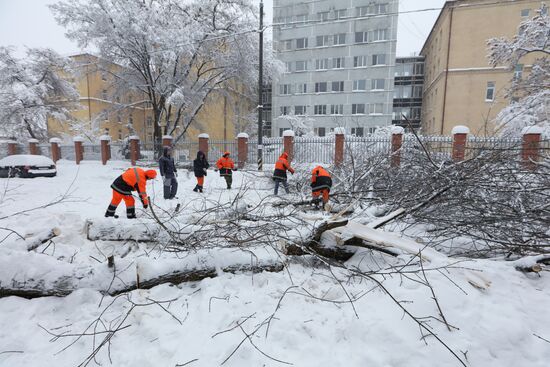 Snowfall in Moscow