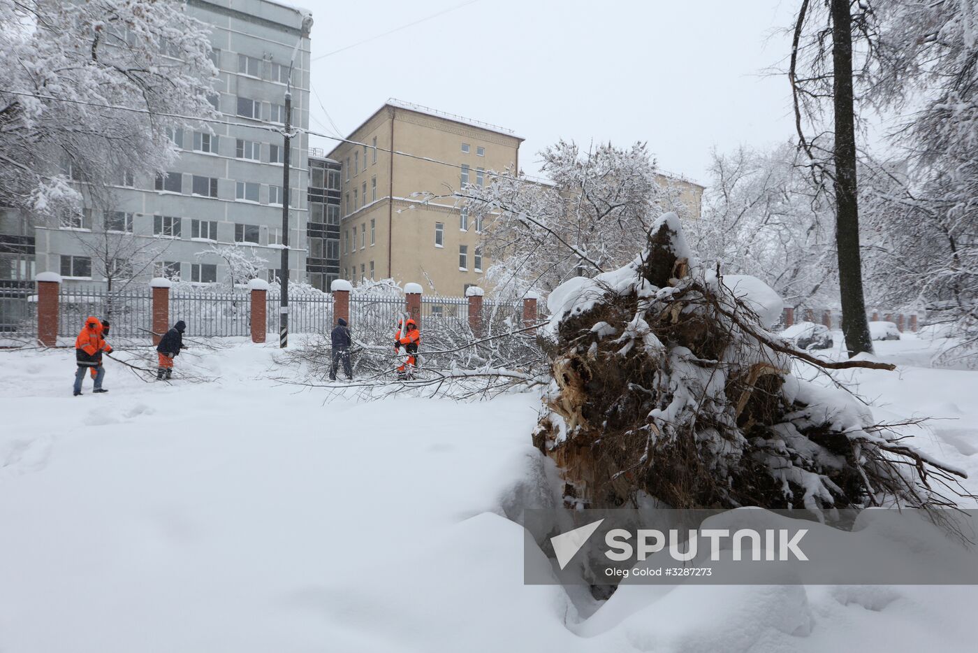 Snowfall in Moscow