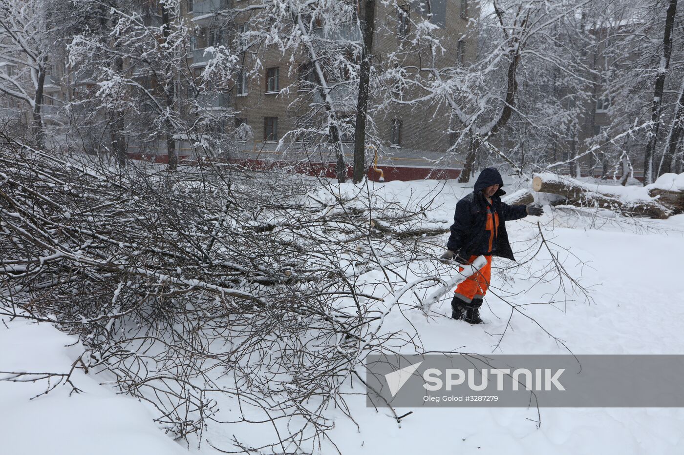 Snowfall in Moscow