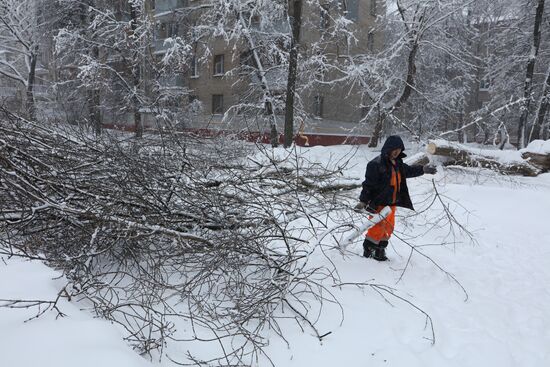 Snowfall in Moscow