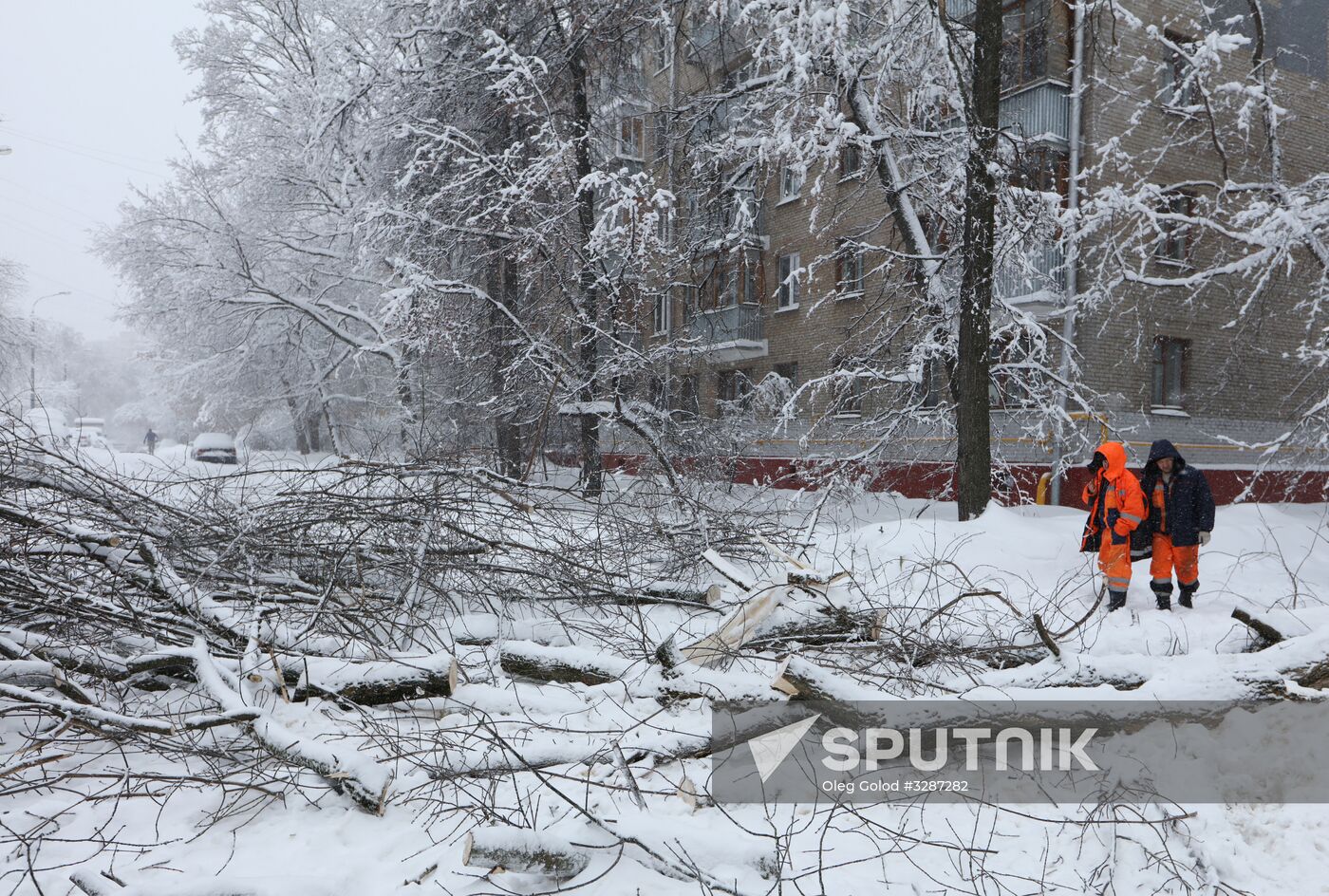 Snowfall in Moscow