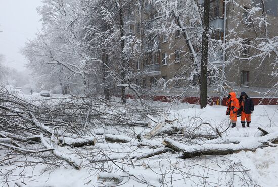Snowfall in Moscow