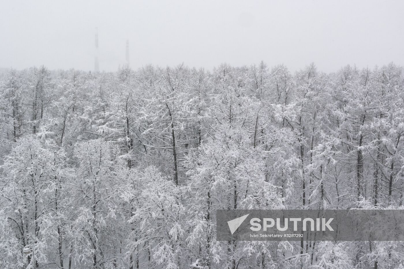 Snowfall in Moscow