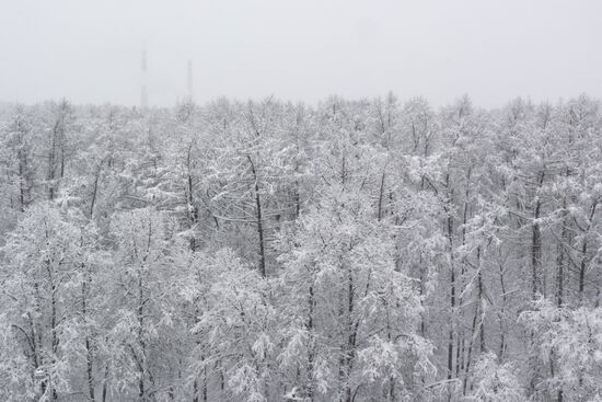 Snowfall in Moscow
