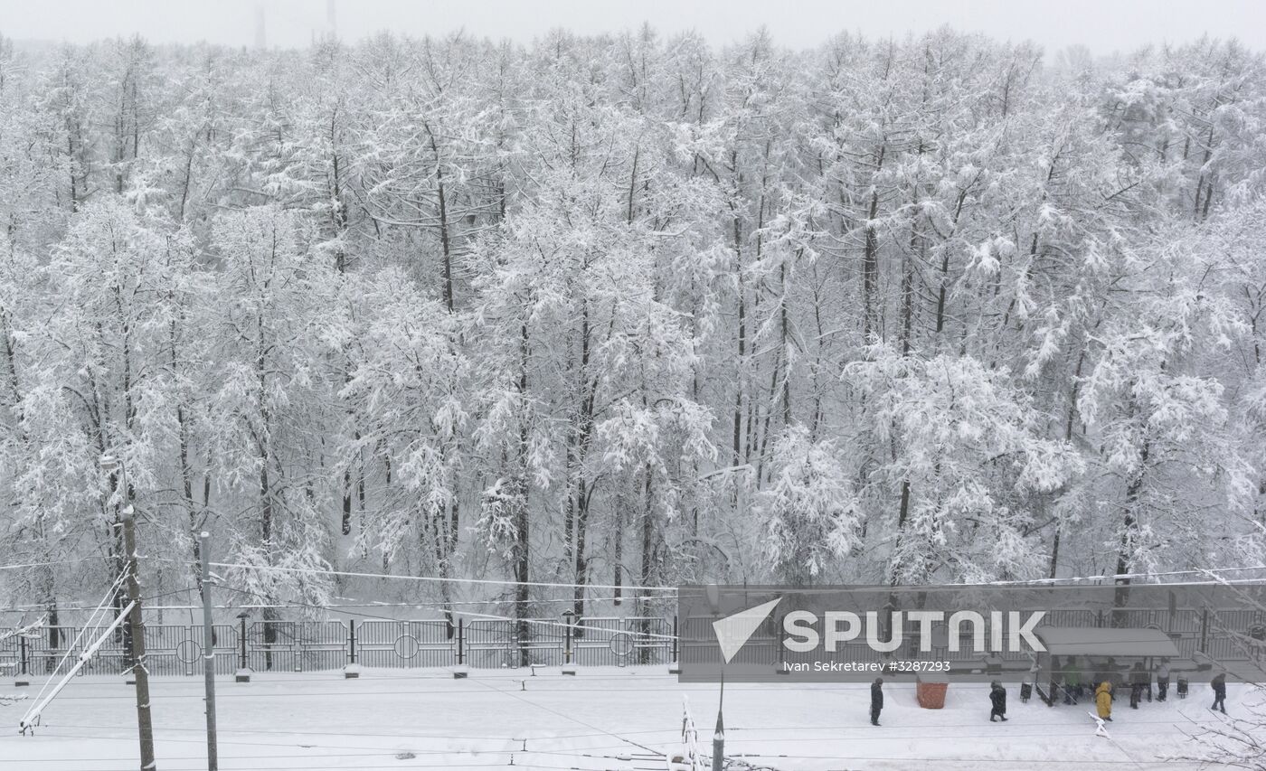 Snowfall in Moscow