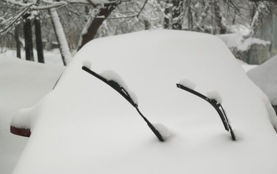 Snowfall in Moscow