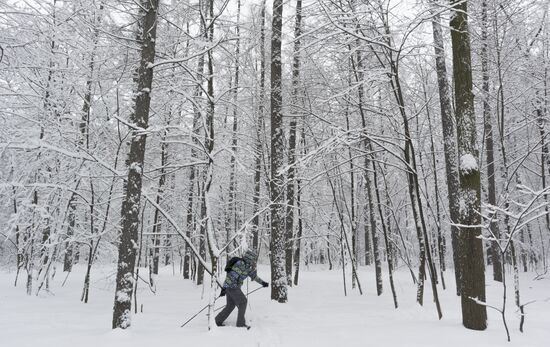 Snowfall in Moscow