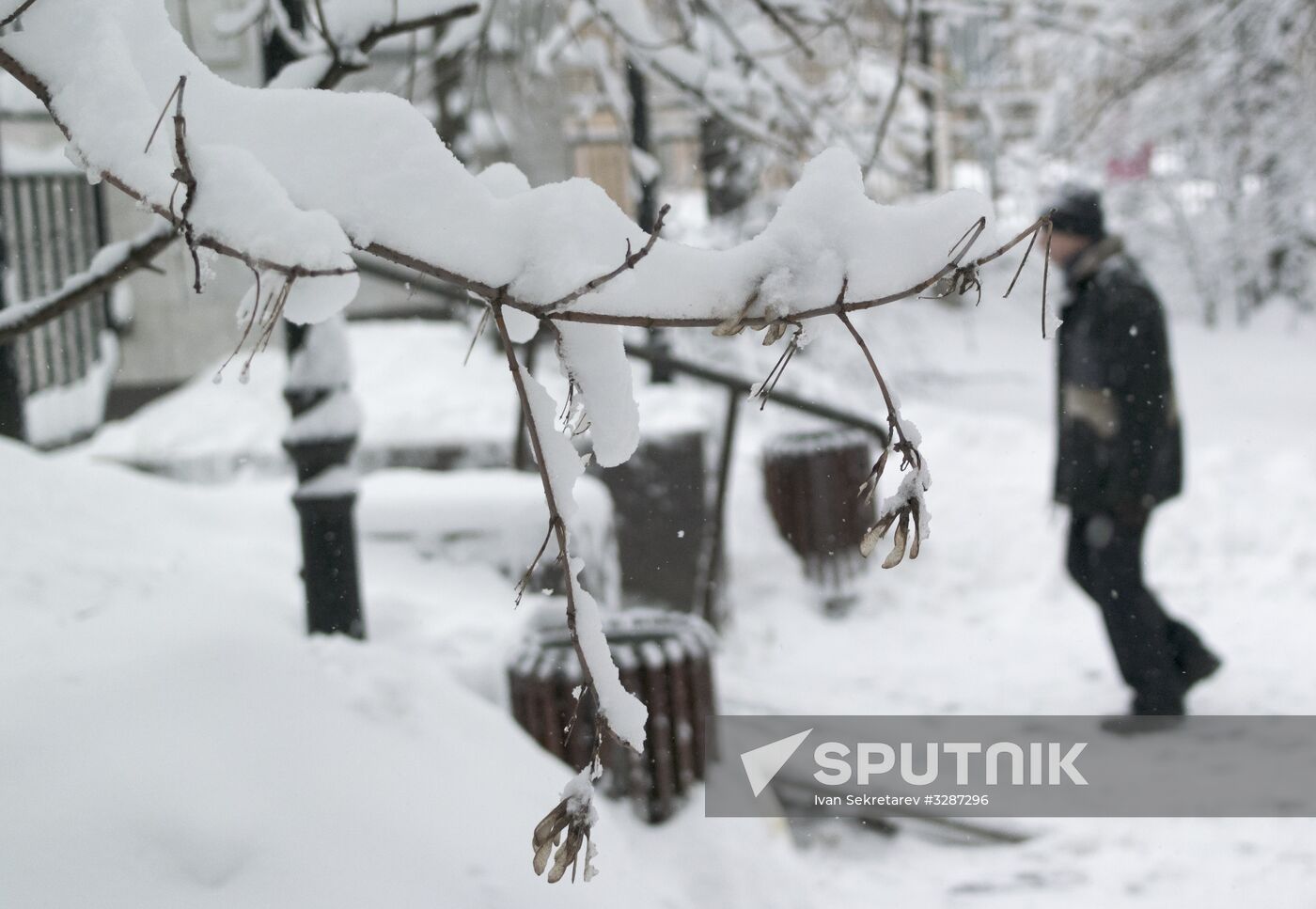 Snowfall in Moscow