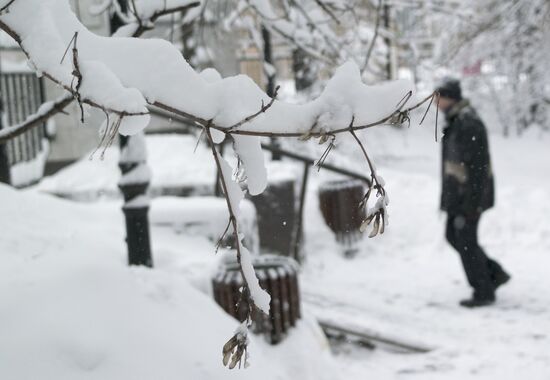Snowfall in Moscow