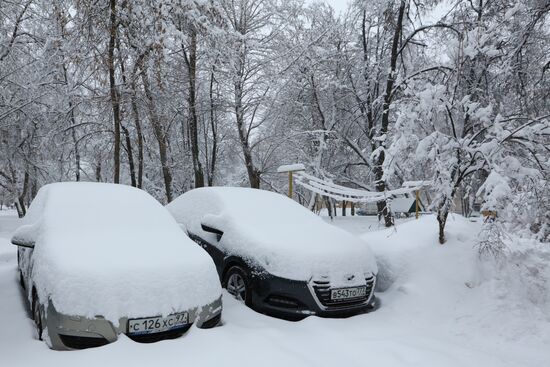 Snowfall in Moscow