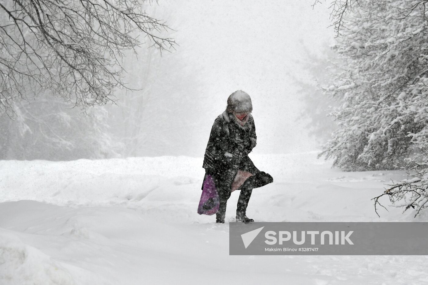 Snowfall in Moscow