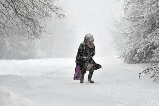 Snowfall in Moscow