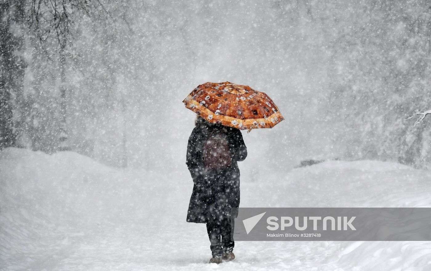 Snowfall in Moscow