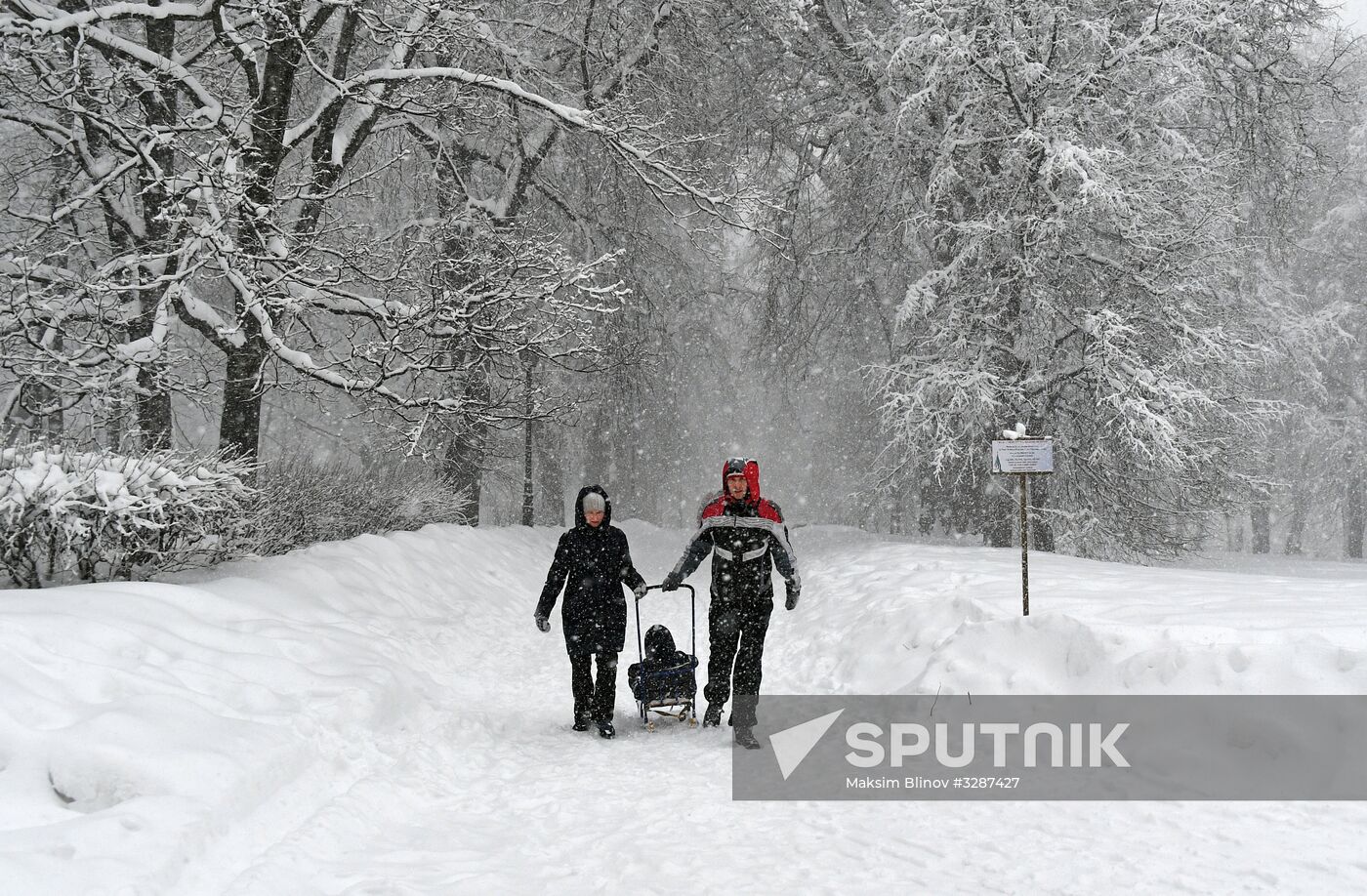Snowfall in Moscow