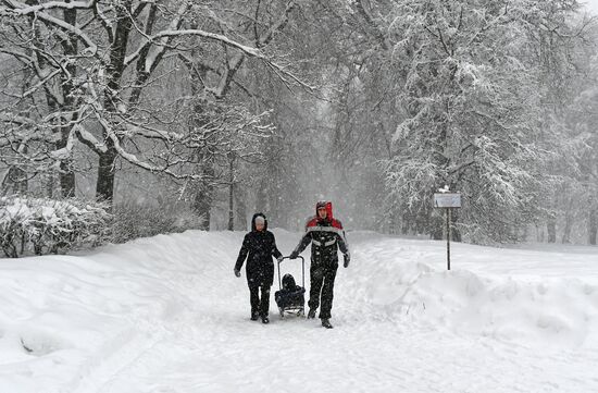 Snowfall in Moscow