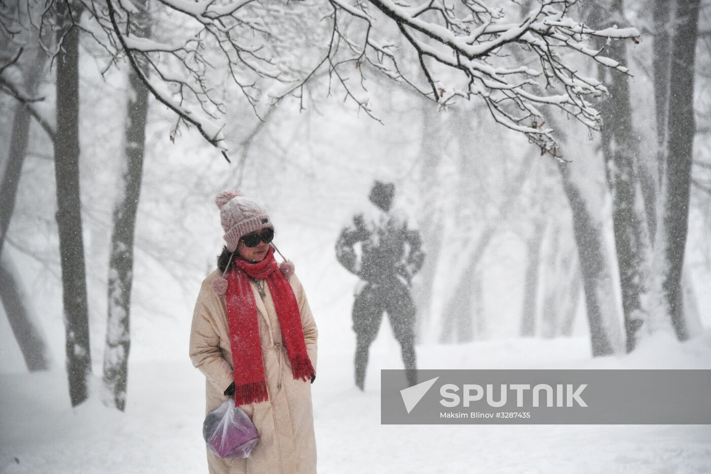 Snowfall in Moscow
