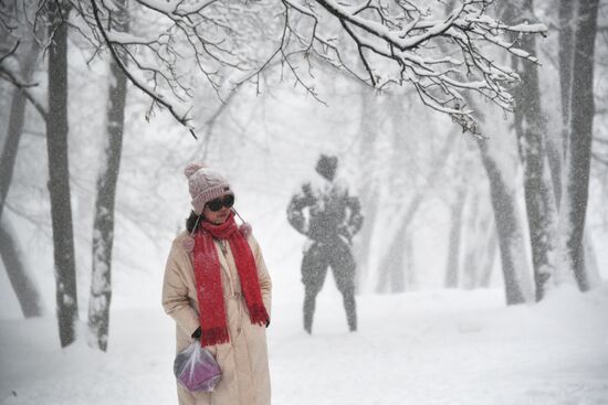 Snowfall in Moscow