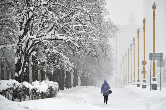 Snowfall in Moscow