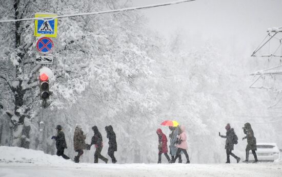 Snowfall in Moscow