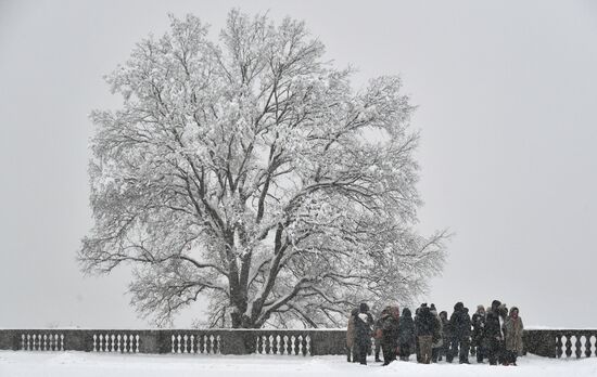 Snowfall in Moscow