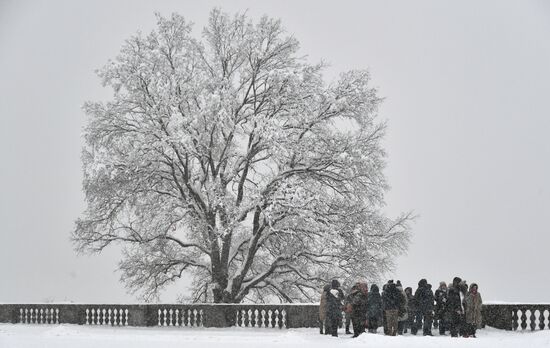 Snowfall in Moscow