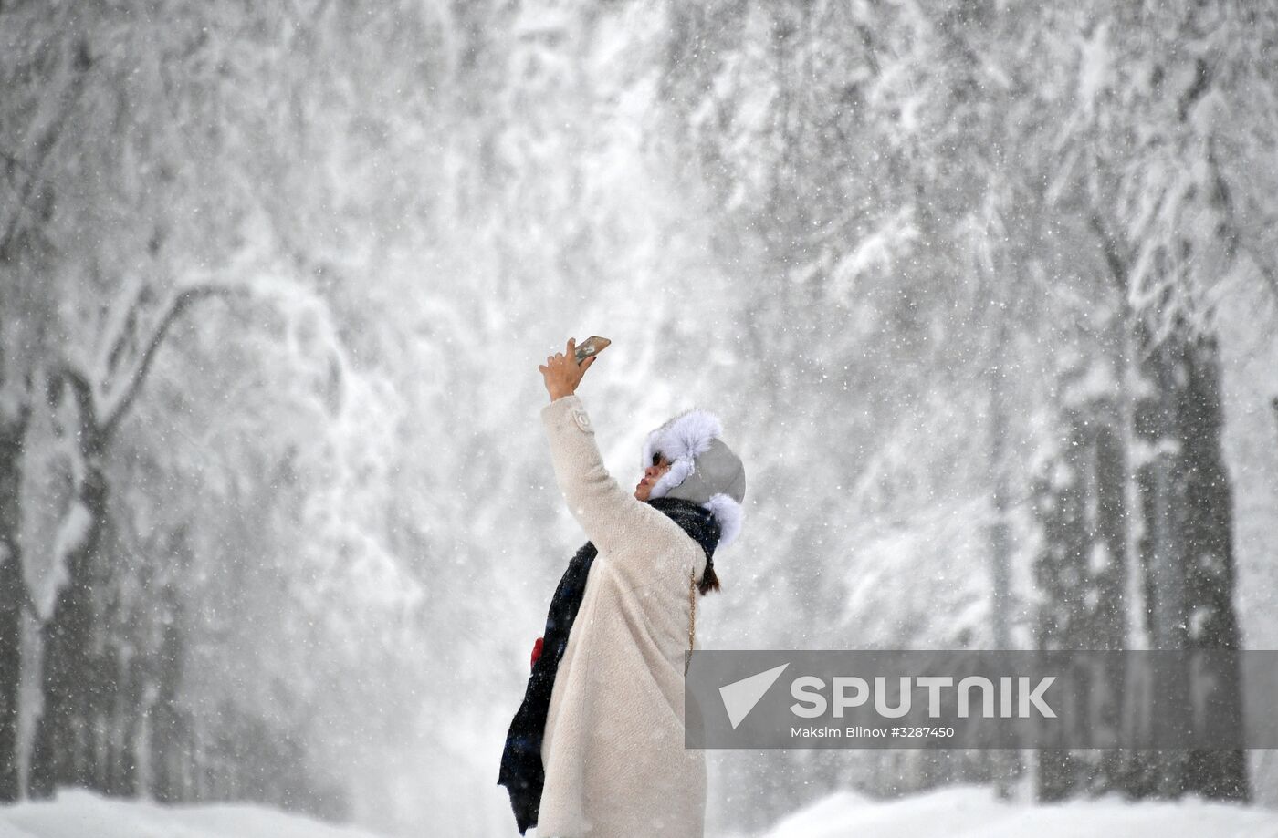 Snowfall in Moscow