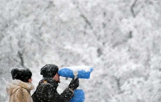 Snowfall in Moscow
