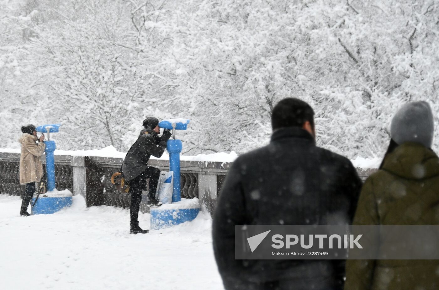 Snowfall in Moscow