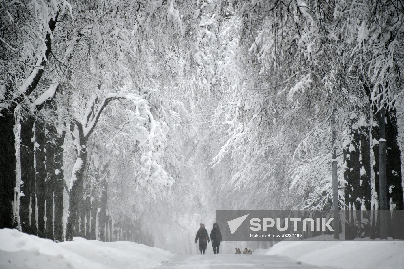 Snowfall in Moscow