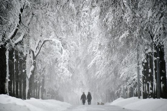 Snowfall in Moscow