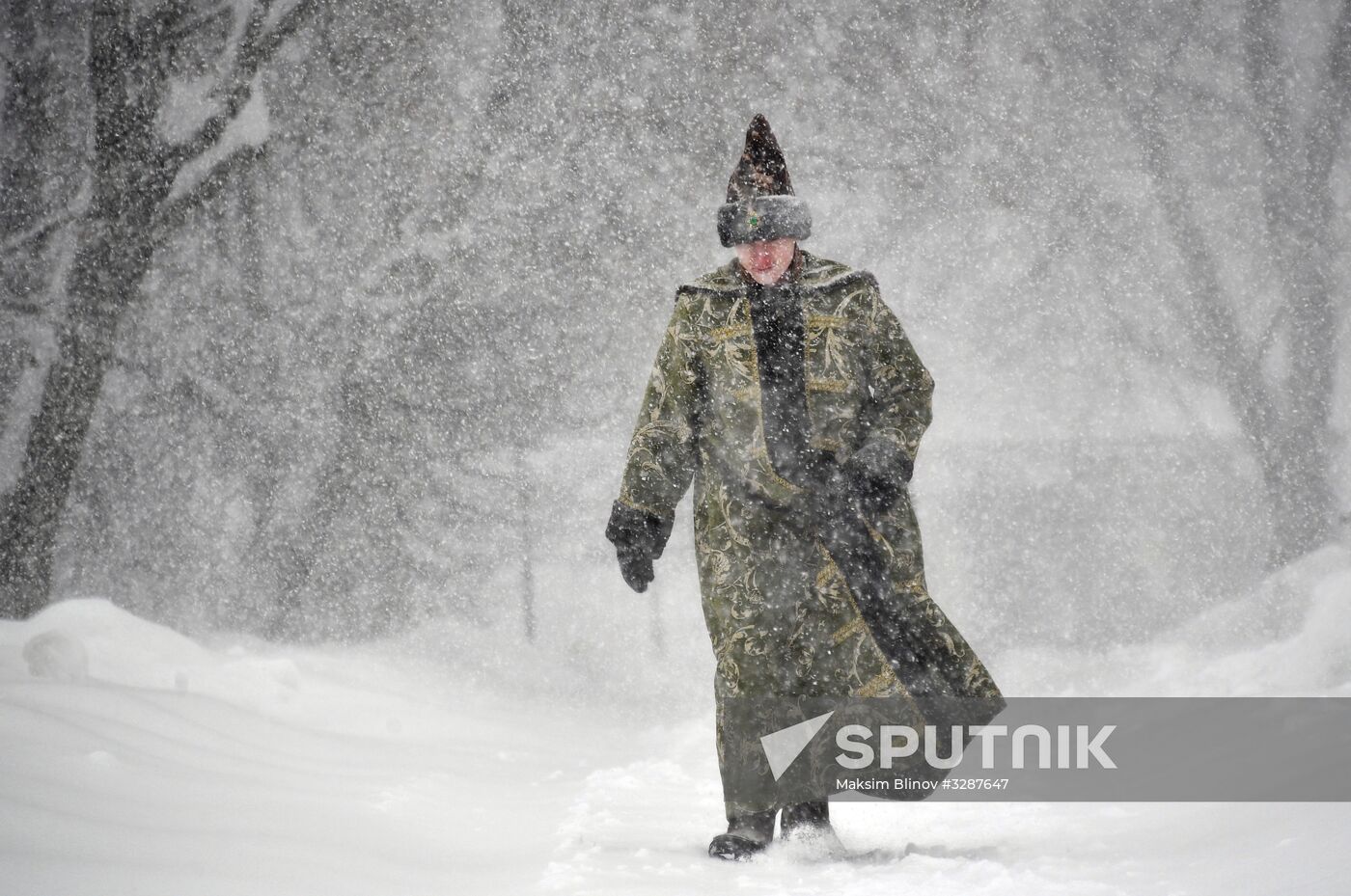 Snowfall in Moscow